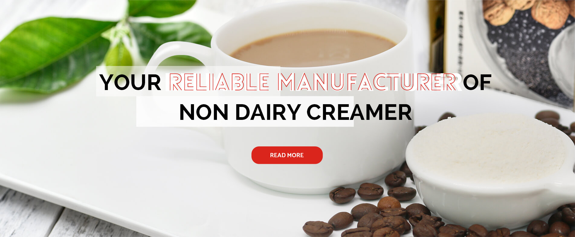 Non Dairy Creamers Manufacturer