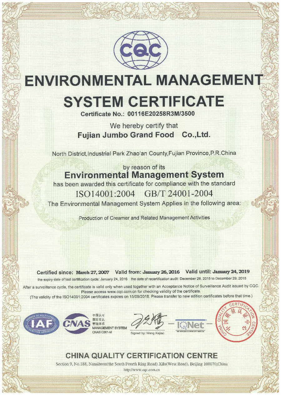 Certificado de sistema de gestión medioambiental jumbo grand-iso14001.